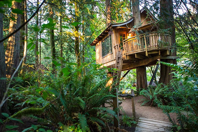 9 Exceptional Treehouse Hotels Across the U.S. for Unforgettable Stays